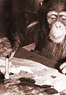 book_cover_chimp